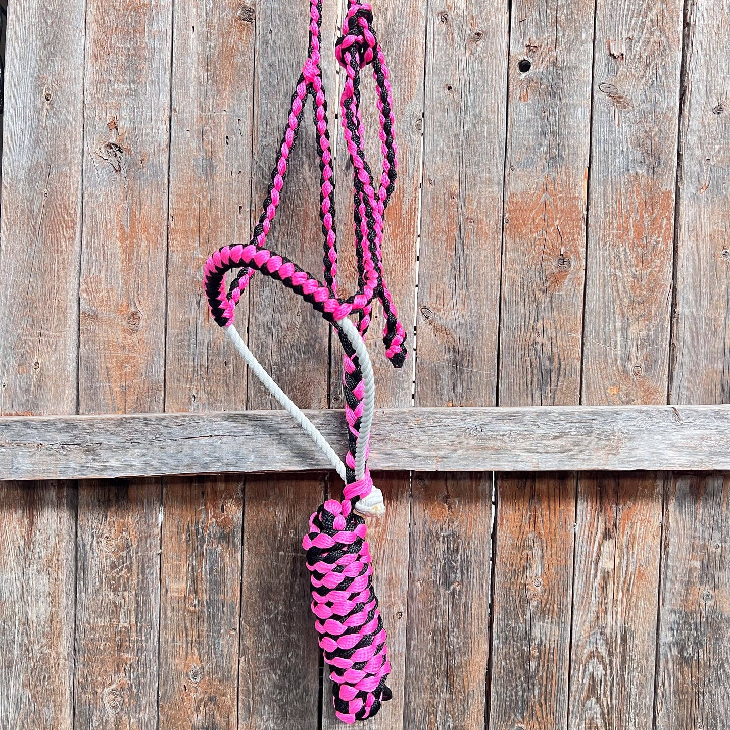 Lariat Mule Tape Halters - Assorted Double Colors-