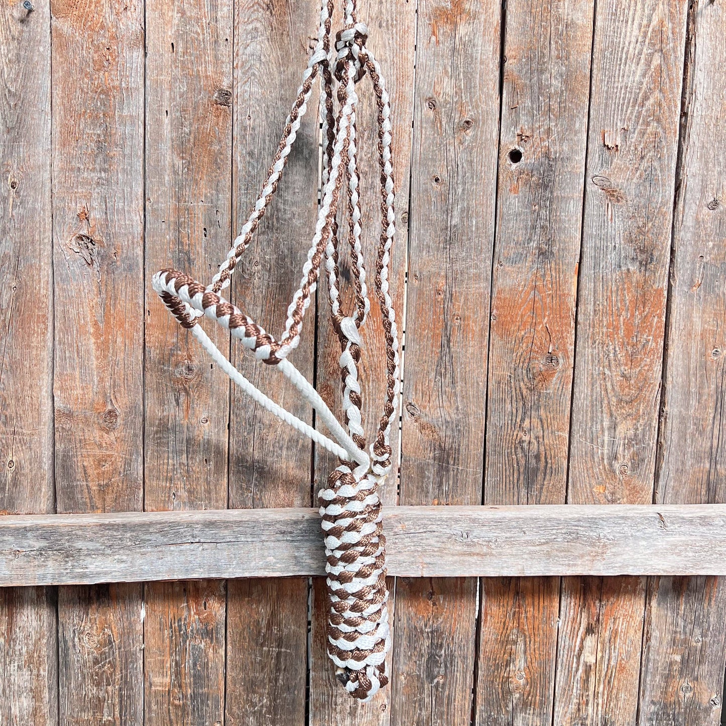 Lariat Mule Tape Halters - Assorted Double Colors-