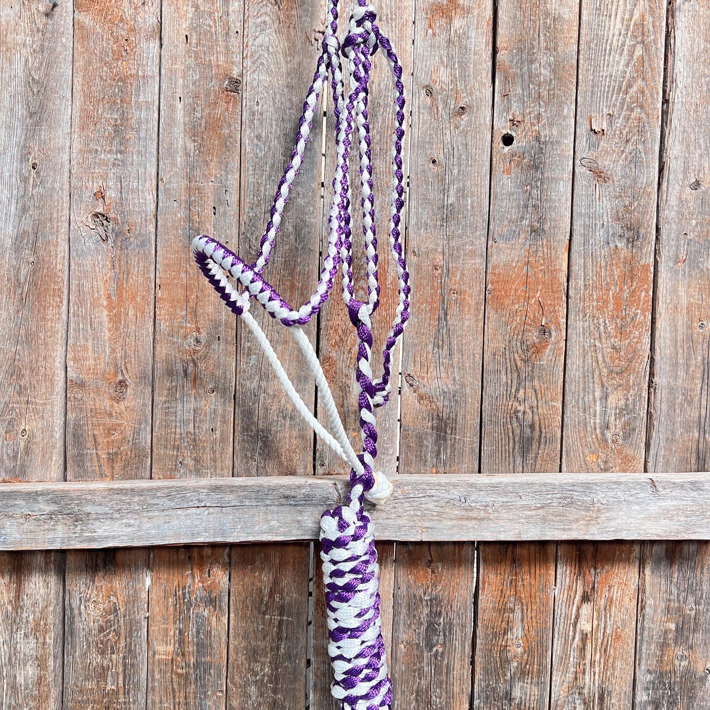 Lariat Mule Tape Halters - Assorted Double Colors-