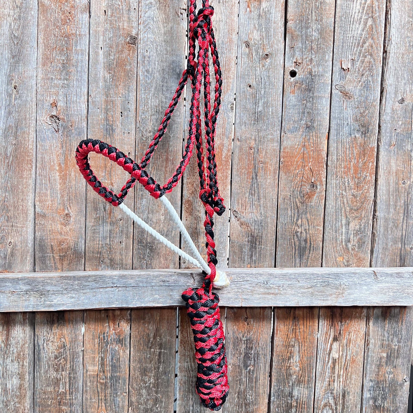 Lariat Mule Tape Halters - Assorted Double Colors-