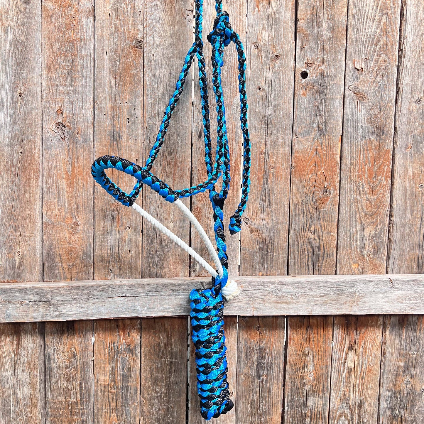 Lariat Mule Tape Halters - Assorted Double Colors-