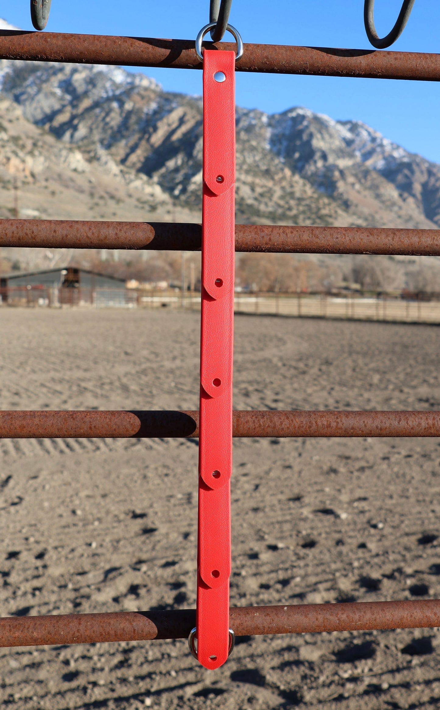 Cinch Hanger- Durable Cinch Organizer