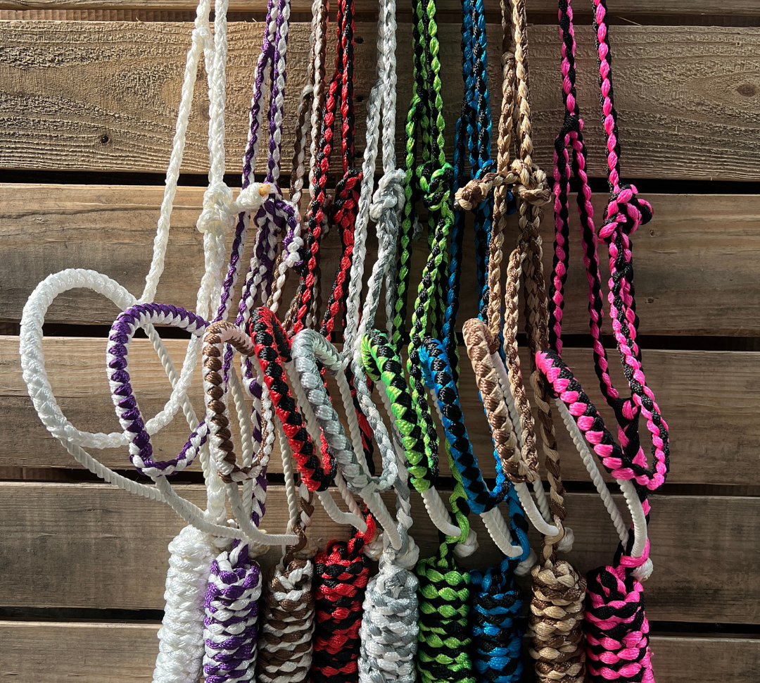 Lariat Mule Tape Halters - Assorted Double Colors-