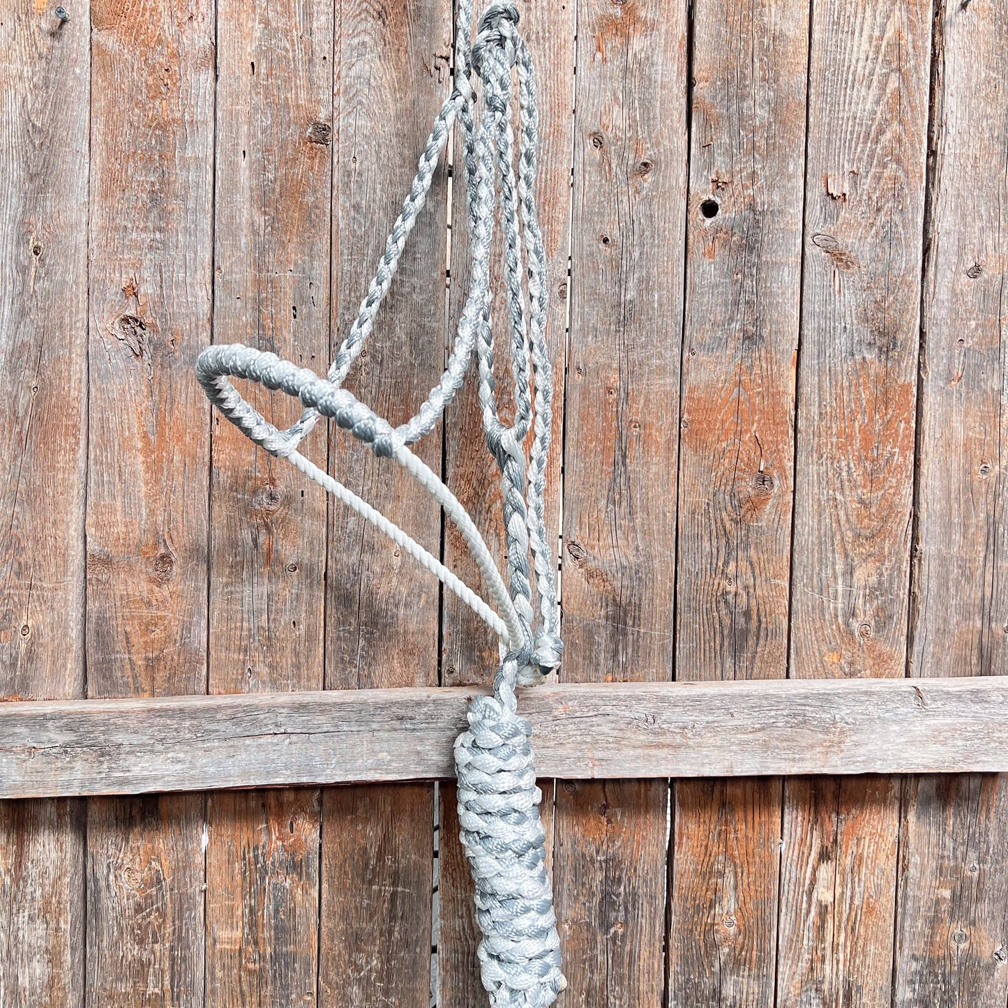 Lariat Mule Tape Halters - Assorted Double Colors-